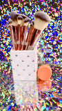 MAKEUP BRUSH SET.